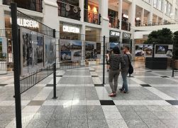 Jena Im Wandel Der Zeit 2019 006